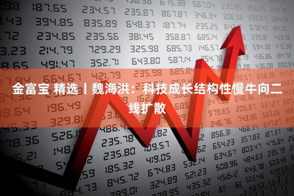 金富宝 精选丨魏海洪：科技成长结构性慢牛向二线扩散